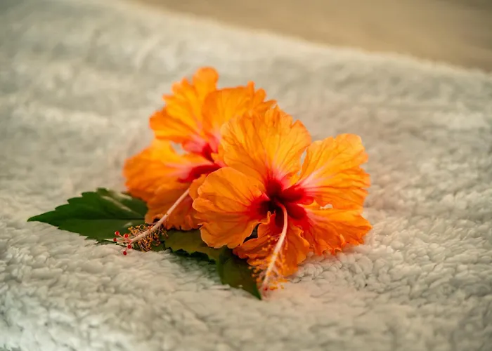 Bed & Breakfast House Beau Vallon (Mahe)